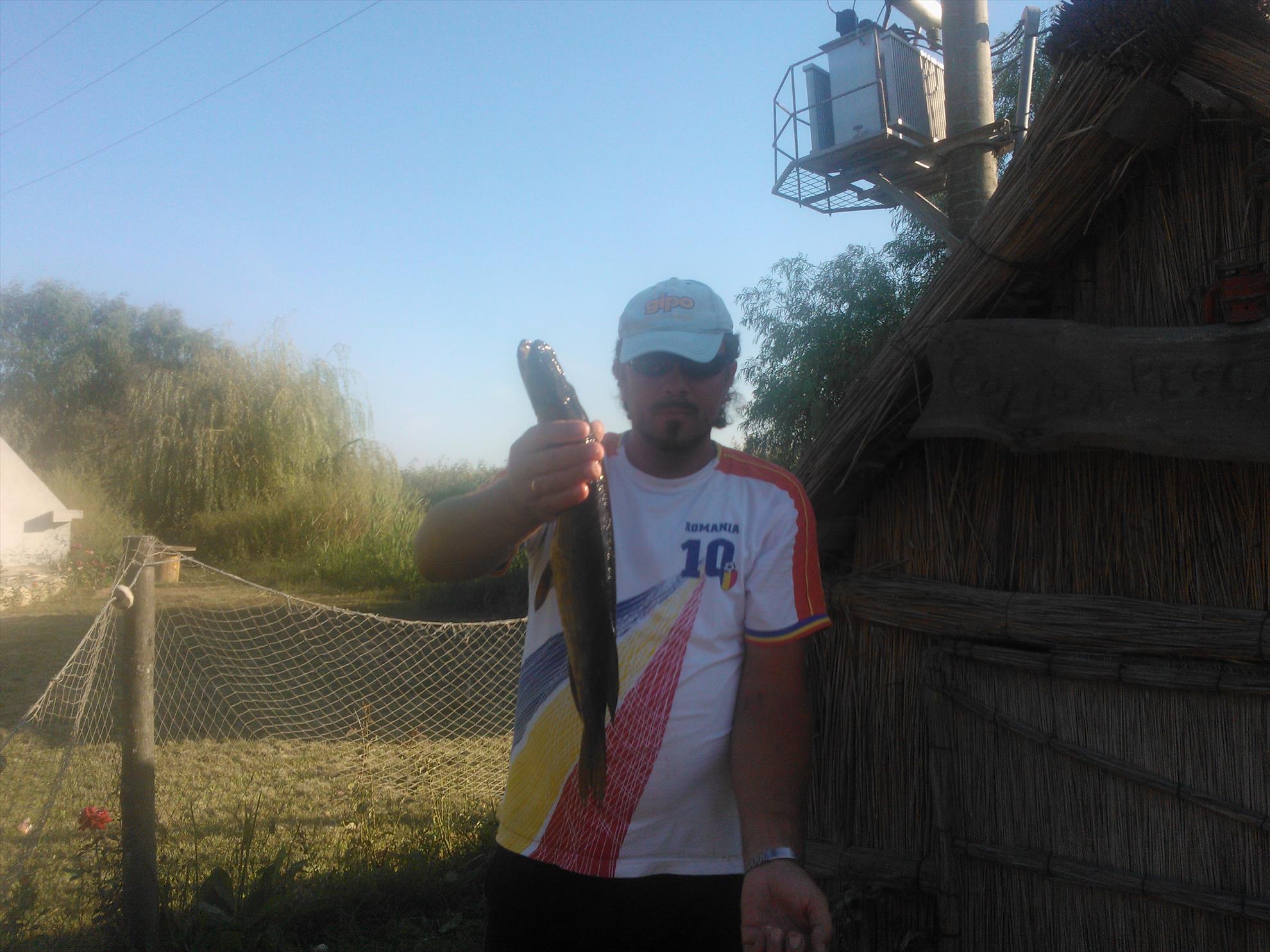 Delta Dunarii - Delta Paradis - wp000263.jpg